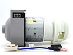 Pumps & Motors
